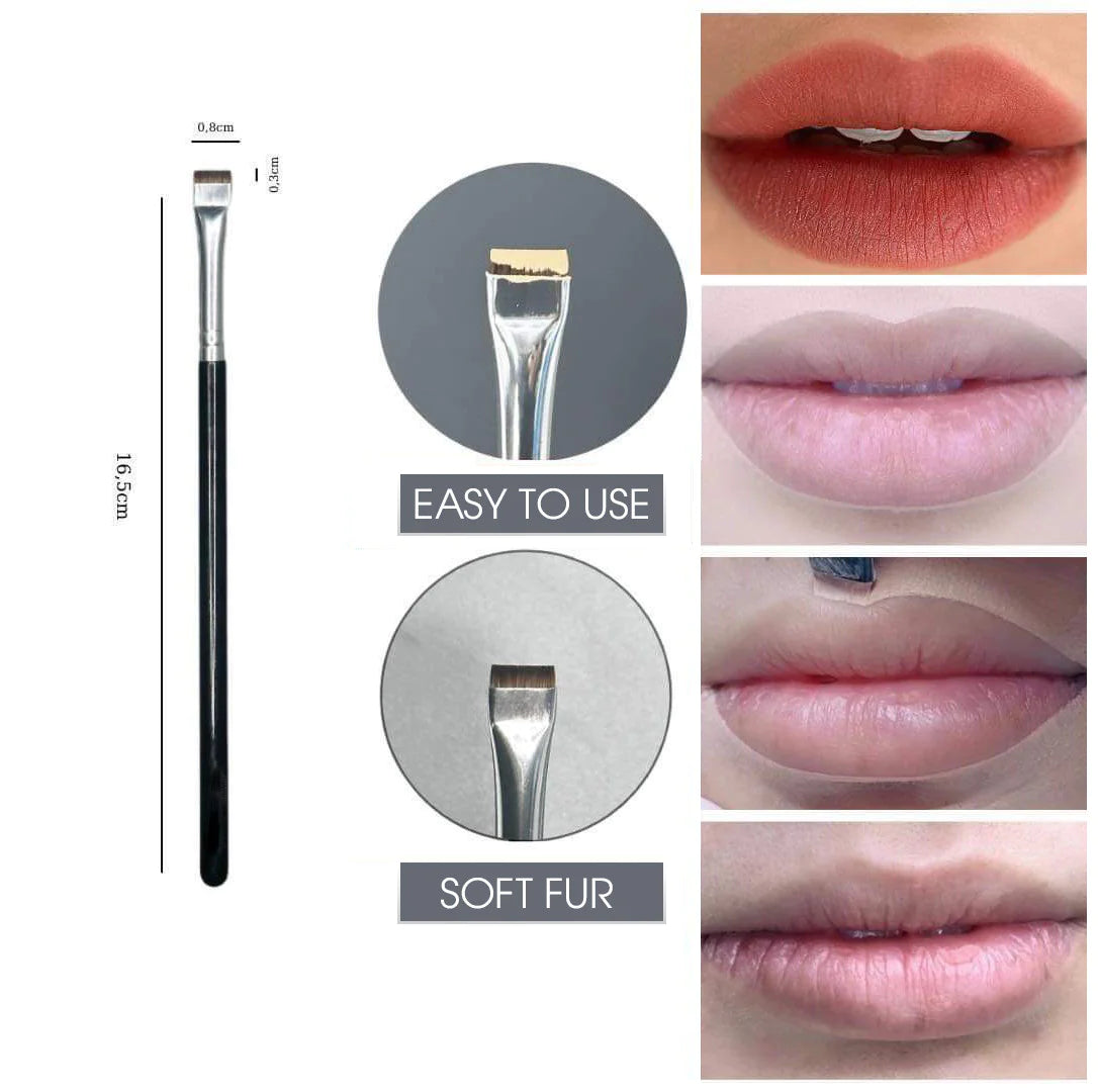 Aesthetics Brush for Lip and Brow Mapping
