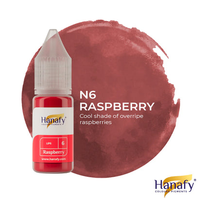N6 Raspberry